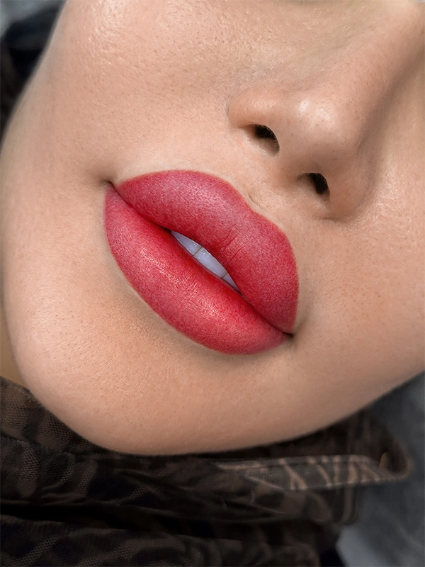 خط لب و شیدینگ لب چه تفاوتی دارند؟