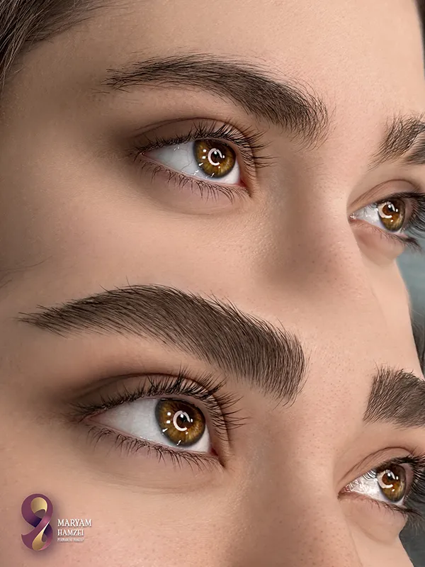 میکرو ابرو قهوه ای تیره در مرکز زیبایی مریم حمزه ای